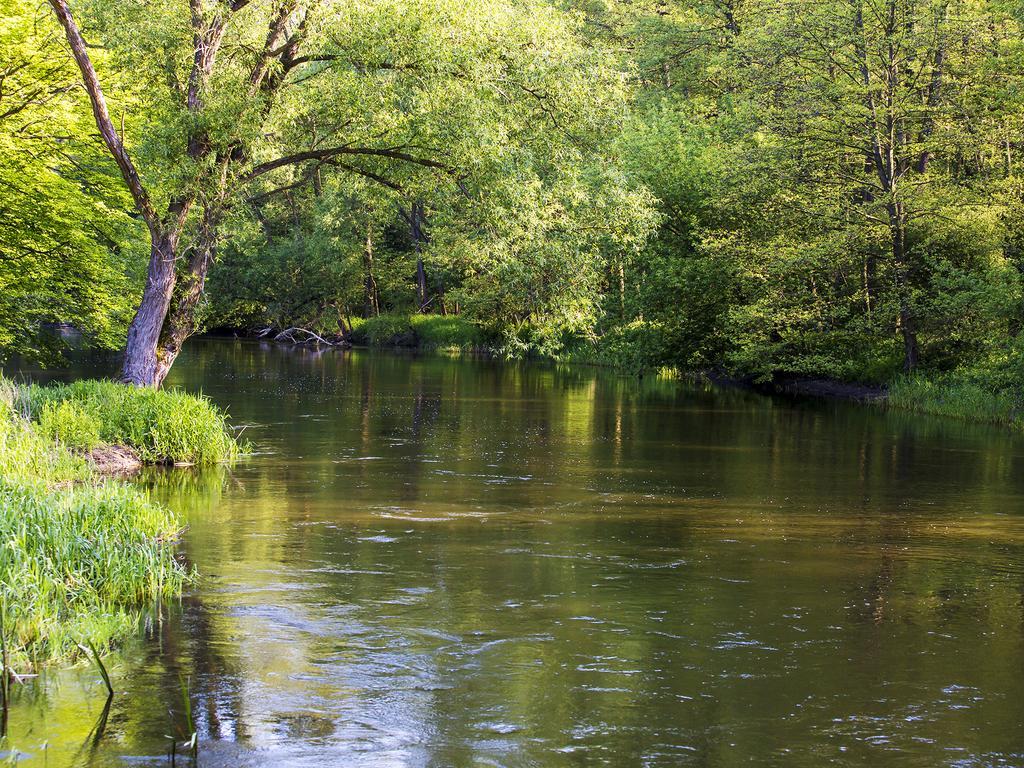 Domek W Dolinie Drwecy Lubicz Exteriér fotografie